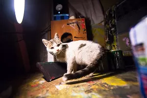  &copy;&nbsp;Елена Синеок, Юга.ру