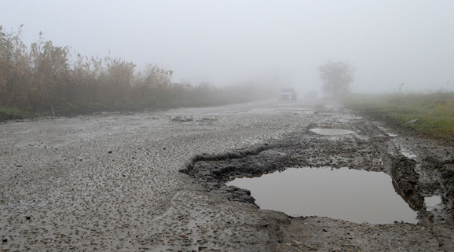  © Фото пресс-службы мэрии Краснодара