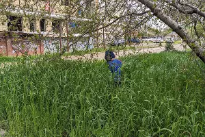  &copy;&nbsp;Фото Александры Прохоренковой-Аксеновой, Юга.ру