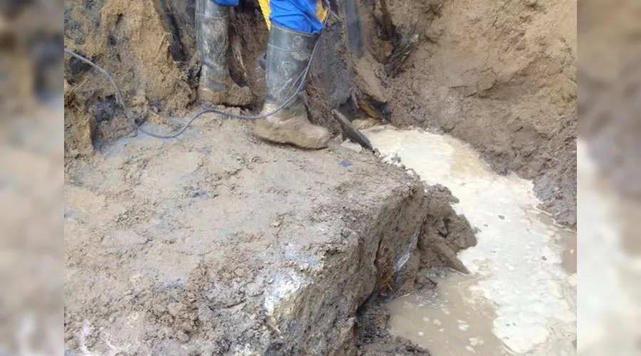  &copy;&nbsp;Фото из аккаунта facebook.com/vladimir.verbitskiy