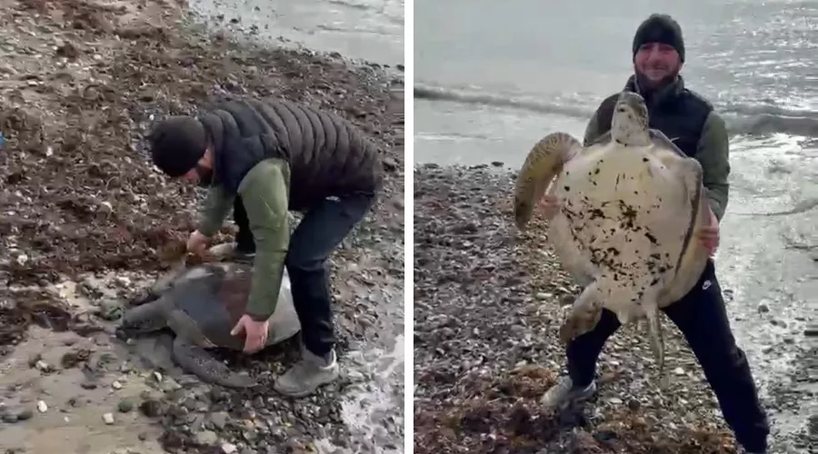  &copy;&nbsp;Скриншот видео из телеграм-канала администрации Туапсинского района
