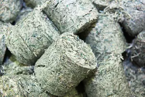 Спрессованные брикеты из купюр после утилизации &copy;&nbsp;Фото Елены Синеок, Юга.ру