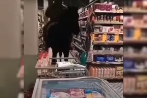  &copy;&nbsp;Скриншот видео из инстаграма &laquo;Краснодар край Кубань&raquo;, instagram.com/krasnodar_kray/