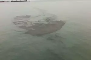  &copy;&nbsp;Скриншот видео из инстаграма Сергея Пинягина, instagram.com/ulica_kaminskogo123/