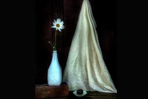  © Скриншот фото из письма от Краснодарского краевого выставочного зала