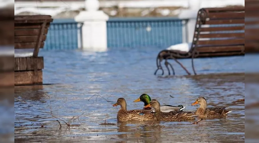  &copy;&nbsp;Фото Натальи Плаксиной, газета &laquo;Жизнь в Абрау&raquo;