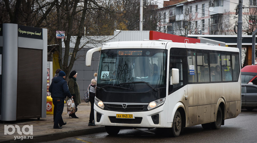  © Фото Елены Синеок, Юга.ру