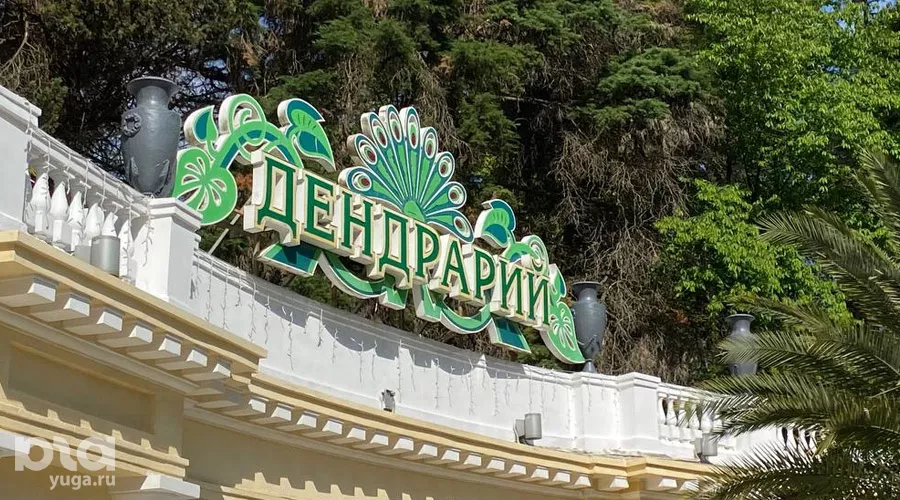 Дендрарий в Сочи &copy;&nbsp;Фото Влады Мандрыка, Юга.ру