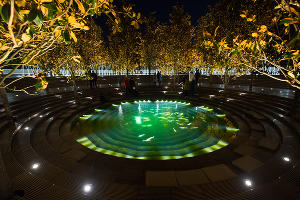 Парк «Краснодар»  с новогодней подсветкой &copy;&nbsp;Фото Елены Синеок, Юга.ру