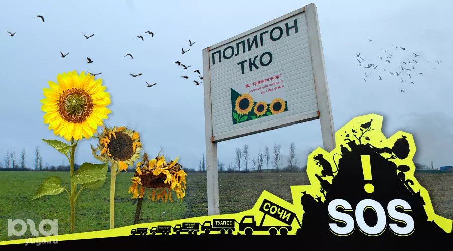  &copy;&nbsp;Коллаж Дмитрия Пославского, Юга.ру