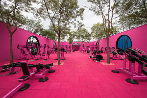 Спортивное пространство в парке «Краснодар»  © Фото Елены Синеок, Юга.ру