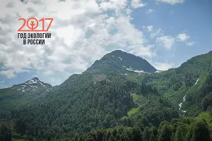  &copy;&nbsp;Фото Нины Зотиной, Юга.ру