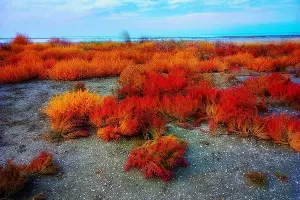 Солерос. Станица Благовещенская &copy;&nbsp;Фото Вячеслава Ревуна