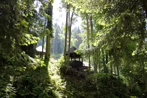  &copy;&nbsp;Фото Марины Солошко, Юга.ру