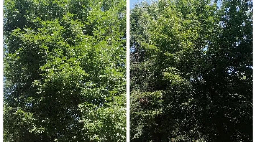  &copy;&nbsp;Фото предоставлено Юга.ру жительницей дома на улице Авиагородок, 5