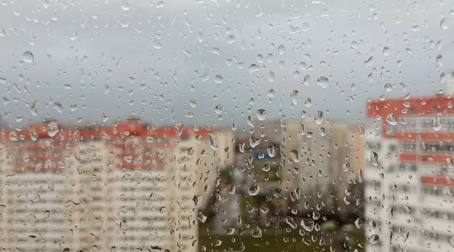  &copy;&nbsp;Фото Андрея Малёваного, Юга.ру