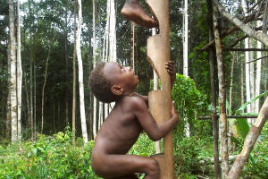  © Фото Максима Богатырева