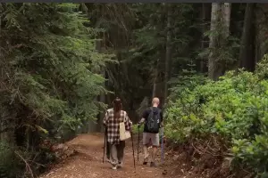  &copy;&nbsp;Скриншот видео из телеграм-канала &laquo;Архыз24&raquo;