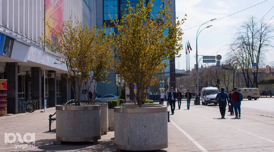  &copy;&nbsp;Фото Елены Синеок, Юга.ру