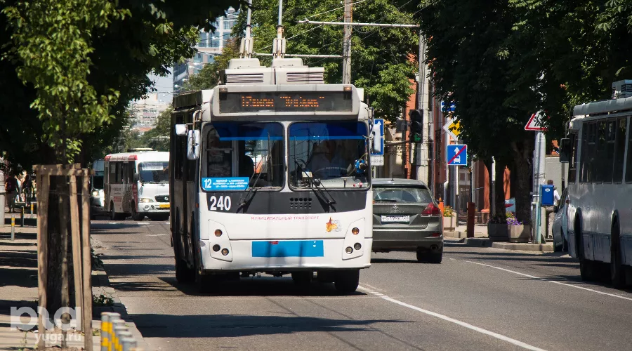  &copy;&nbsp;Фото Елены Синеок, Юга.ру