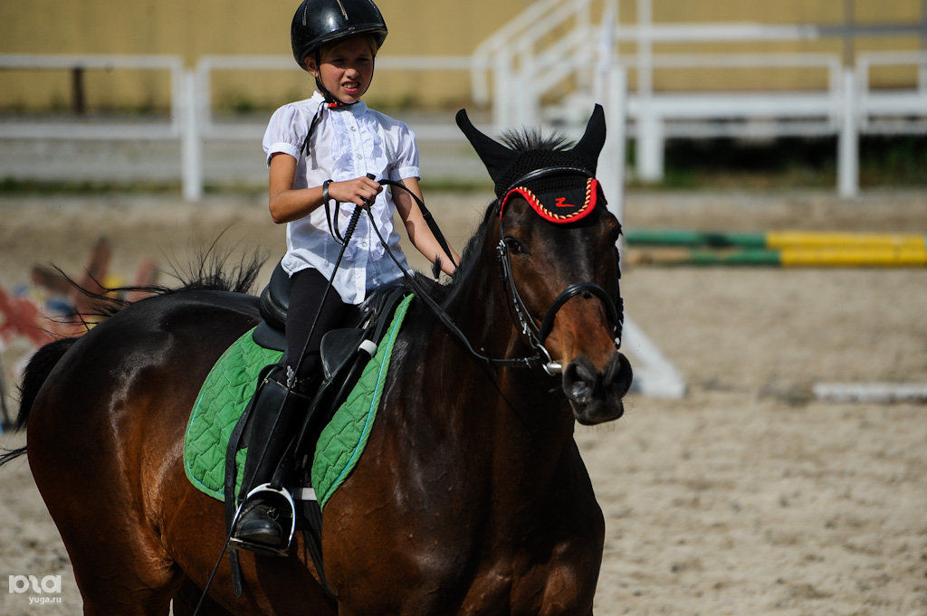 Конный спорт сочи. Конноспортивная школа 15 дагомыс. Кск элит сочи. Кск элит сочи. Конный центр в сочи.