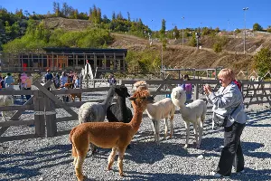  &copy;&nbsp;Фото пресс-службы курорта &laquo;Роза Хутор&raquo;