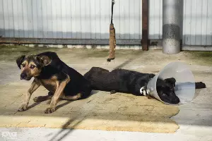  &copy;&nbsp;Фото Елены Синеок, Юга.ру