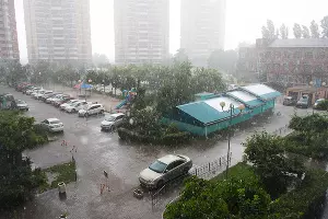  &copy;&nbsp;Фото Елены Синеок, Юга.ру