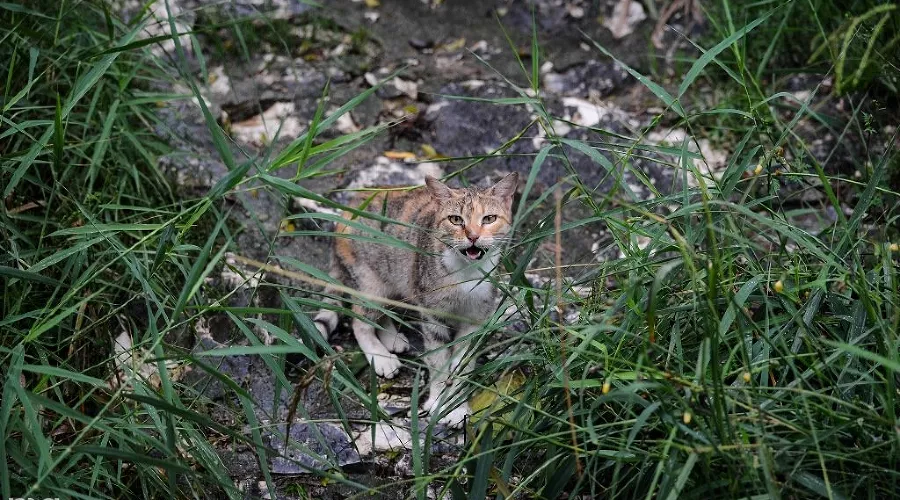  &copy;&nbsp;Фото Нины Зотиной, Юга.ру