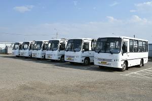 Автобусы ПАЗ © Фото пресс-службы администрации Краснодара
