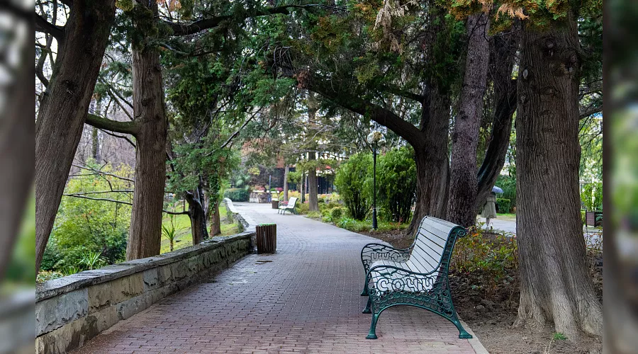  &copy;&nbsp;Фото пресс-службы администрации Сочи