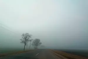 Эри Егина, «Меланхолия» &copy;&nbsp;Скриншот фото из письма от пресс-службы музея имени Коваленко