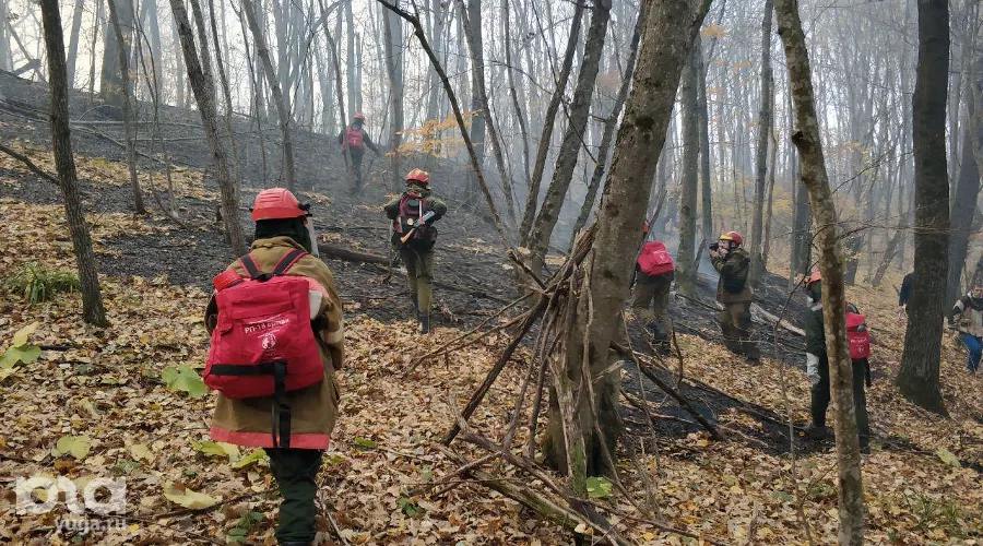  &copy;&nbsp;Фото Алексея Щербины для Юга.ру