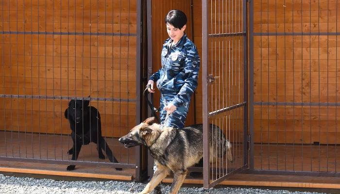  &copy;&nbsp;Фото Елены Синеок, Юга.ру