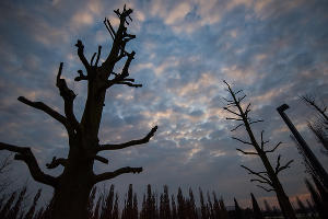 Парк «Краснодар» &copy;&nbsp;Фото Елены Синеок, Юга.ру