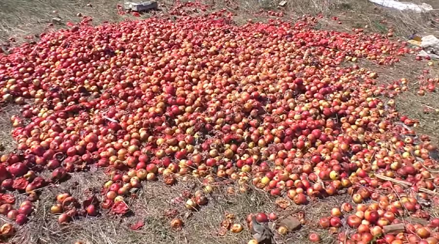  © Скриншот видео из YouTube-канала Сергея Архипова «Всяко разно из Китая», youtube.com/user/kery801/about