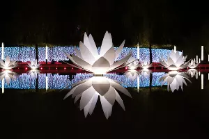 Парк «Краснодар»  с новогодней подсветкой &copy;&nbsp;Фото Елены Синеок, Юга.ру