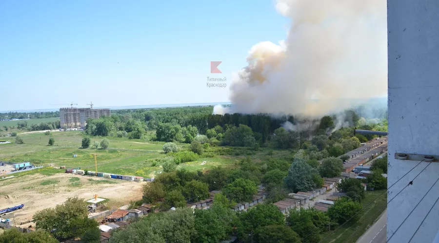  &copy;&nbsp;Фото со страницы vk.com/typical_krd