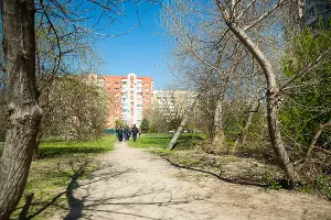 &copy;&nbsp;Фото Елены Синеок, Юга.ру