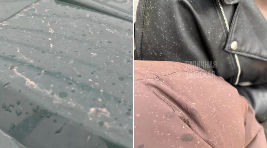  &copy;&nbsp;Коллаж из скриншотов фото из телеграм-каналов &laquo;Погода в Сочи&raquo; и &laquo;Типичная Динская&raquo;