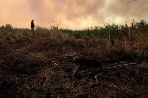 Пятые сутки пожара в Могукоровке &copy;&nbsp;Фото Каси Кульковой, группа &laquo;Добровольные пожарные Кубани&raquo;