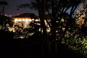 &laquo;Японский сад&raquo; в парке &laquo;Краснодар&raquo; &copy;&nbsp;Фото Влады Мандрыка