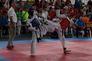 Тхэквондо &copy;&nbsp;Фото пресс-службы министерства физической культуры и спорта Краснодарского края