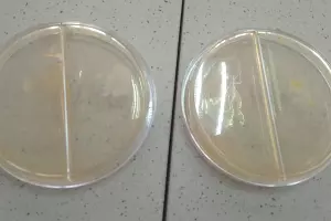  &copy;&nbsp;Фото Елены Малышевой, Юга.ру