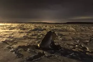 Крушение Ан-148 в Московской области &copy;&nbsp;Фото из телеграм-канала &laquo;Следком&raquo;, t.me/sledcom_rf