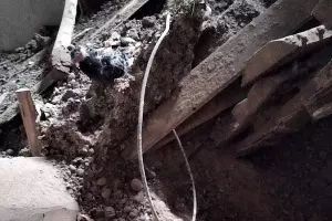  &copy;&nbsp;Фото Ольги Пеленцовой, instagram.com/typodar/ypodar/