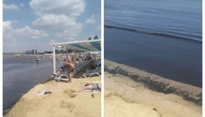 &laquo;Снова чернота и&nbsp;вонь&raquo;: на&nbsp;пляжах Анапы появились гниющие водоросли