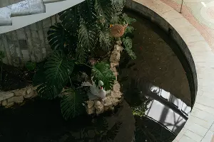 Винтовая лестница в сочинском музее Дерева Дружбы &copy;&nbsp;Фото Юли Шафаростовой, Юга.ру