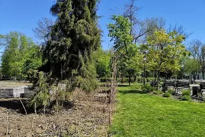  &copy;&nbsp;Фото Карины Сардарян, пресс-служба администрации Краснодара