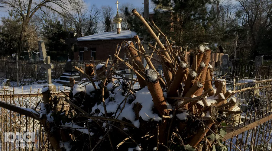  &copy;&nbsp;Фото Александра Гончаренко, Юга.ру